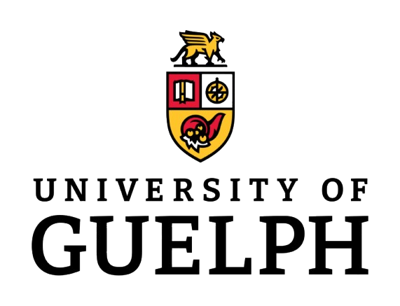 university